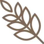 agricultural-colour-icon