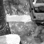 chainsaw-biodegradable