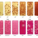 Dipslide Test Results Example