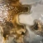 Preventing The Formation Of Fungal Biofilm In MWF – Pennine Lubricants